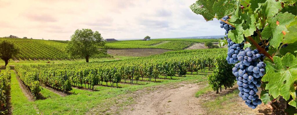 Alsace