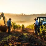 découvrez le fascinant système d'arrachage temporaire du vignoble de cognac, une technique innovante qui allie tradition et modernité pour protéger et valoriser les précieuses vignes tout en préservant l'environnement.